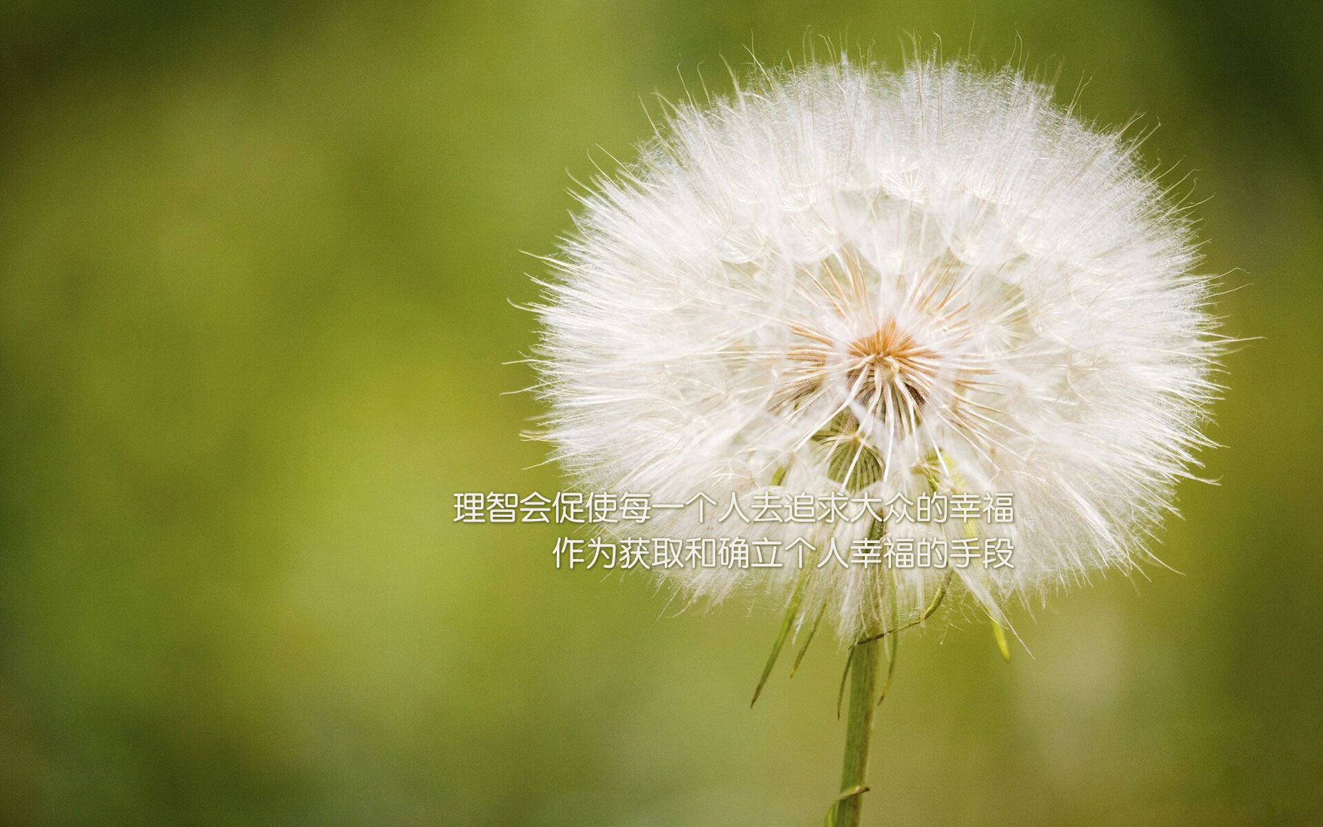 华体会官网入口-中国篮球运动员职业规划与发展研究，我国篮球职业化的过程