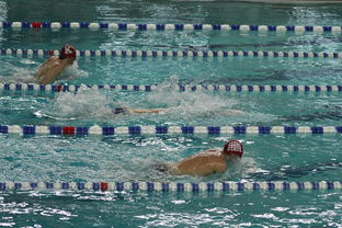 华体会登陆-中国游泳运动员世锦赛接力项目表现抢眼，中国游泳接力夺金