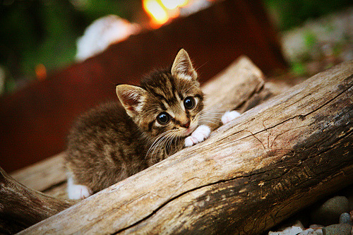 华体会app注册-五大联赛体能瓶颈期球队是否更偏好长传进攻，体育瓶颈期是啥意思