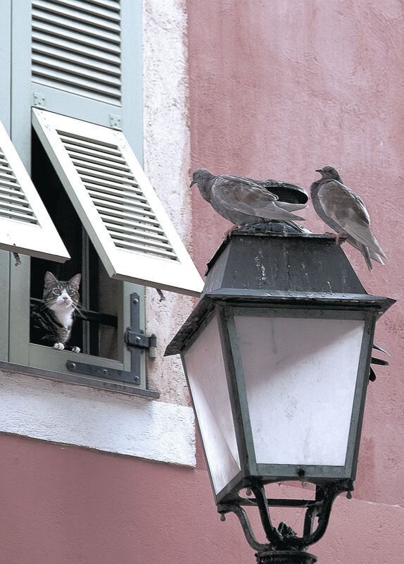 华体会网站-从竞技到文旅，兴隆湖轻艇赛全面升级，兴隆湖升级改造