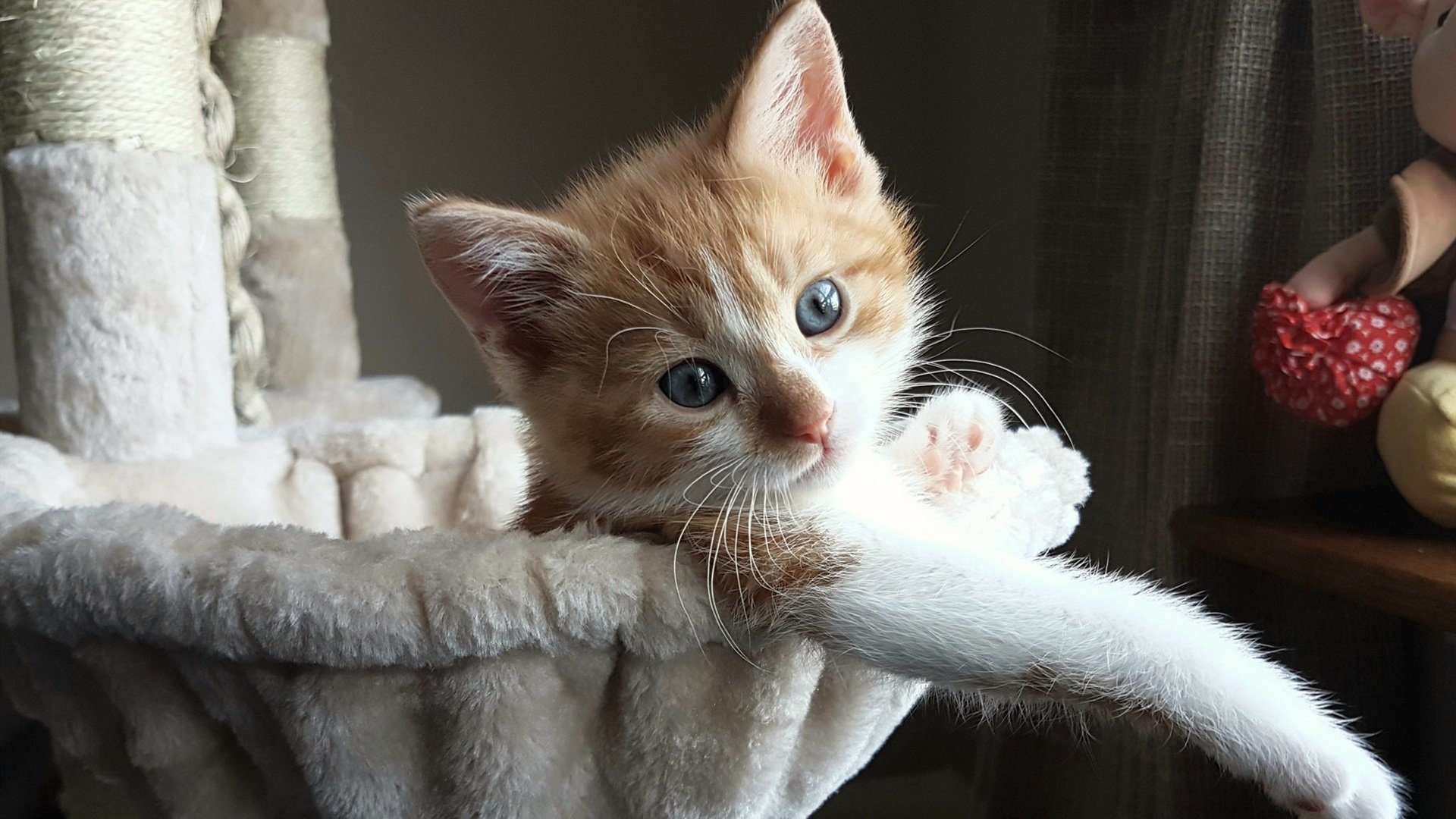 华体会app下载-体育明星创业项目频现科技元素，体育明星商业化