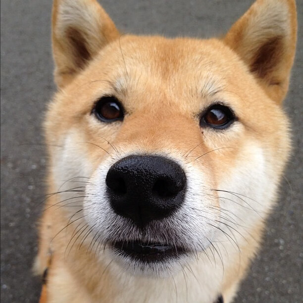 华体会app注册-外教带队风格与中国球员适应难题，外籍教练怎么跟队员交流