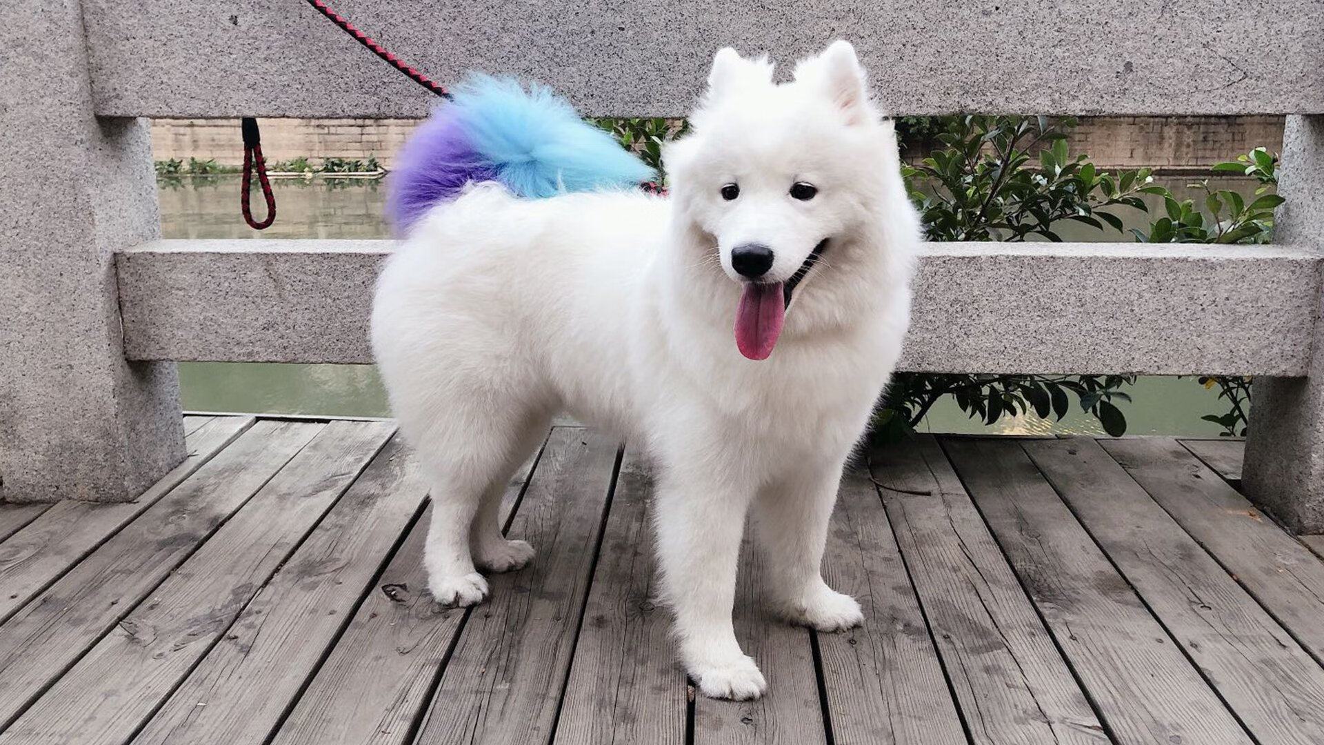 华体会app安装-姆巴佩赛后坦言球队未发挥最佳水平，姆巴佩在哪个联赛