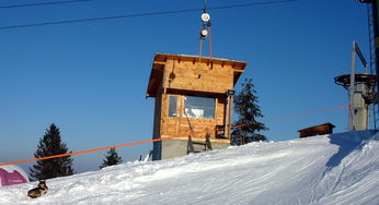 华体会网站-自由式滑雪国家集训队新阵容公布，自由式滑雪障碍追逐国家队