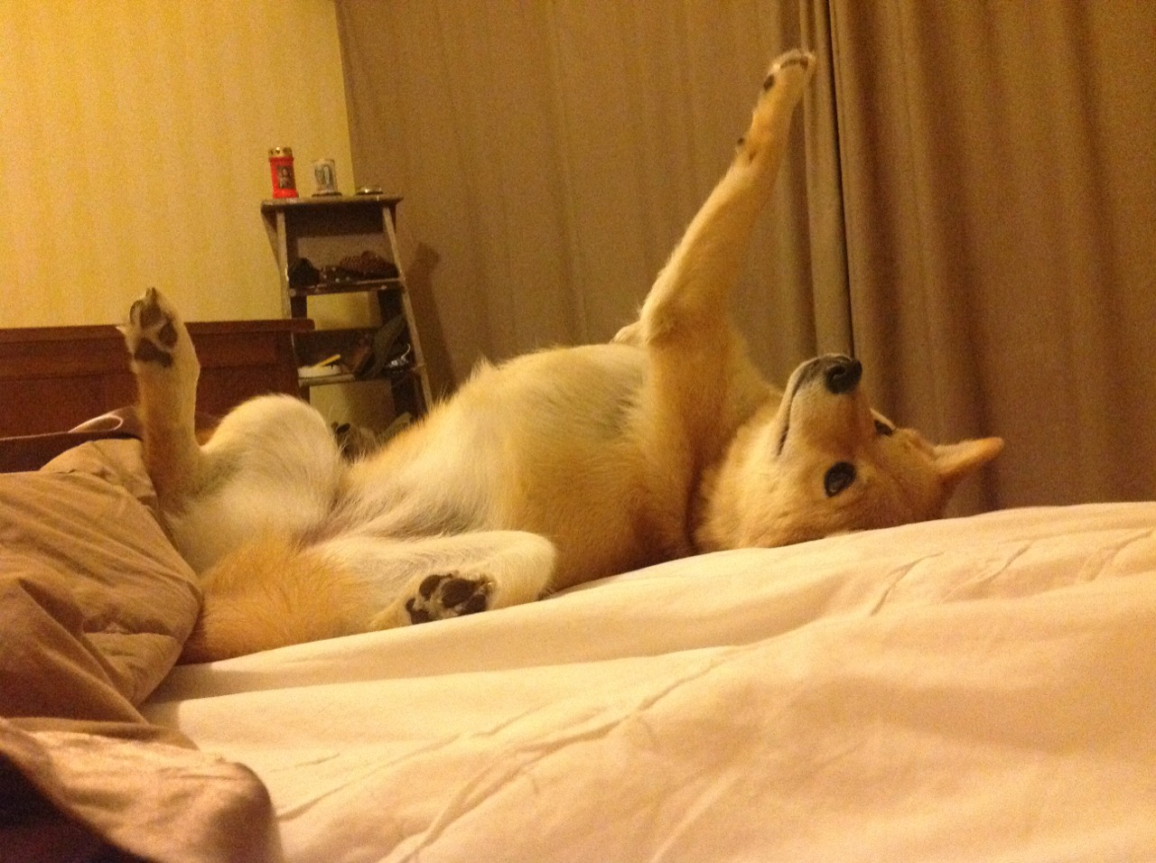 华体会登录入口-节奏控制优异的球员是否更适合搭档投射型内线，节奏型控卫的球鞋