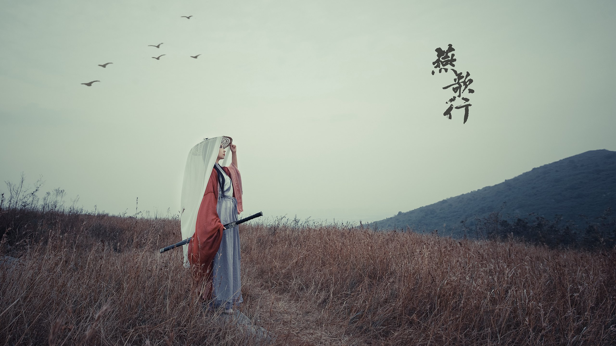 -谁是下一个姚明球迷热议杨瀚森未来发展，姚明杨威杨阳洋