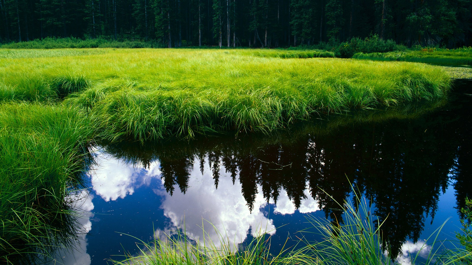 华体会在线登录-“南非羚羊队的未来：萨尔·巴赫能否带队迎接辉煌？”