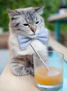 华体会app安装-乔治·巴尔：冷静的思维和精准的球场判断，使他在关键时刻扭转局势