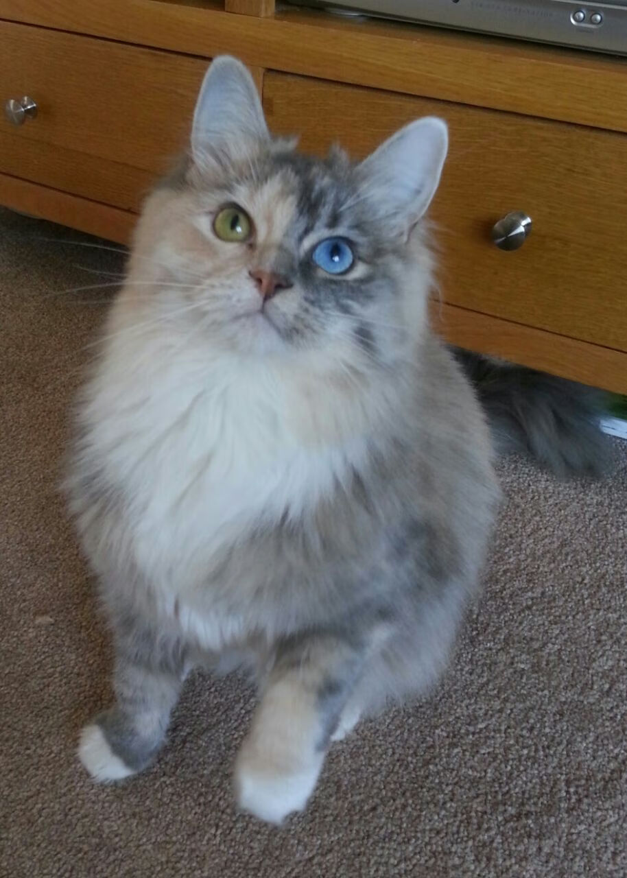 华体会app安装-乔治·巴尔：冷静的思维和精准的球场判断，使他在关键时刻扭转局势