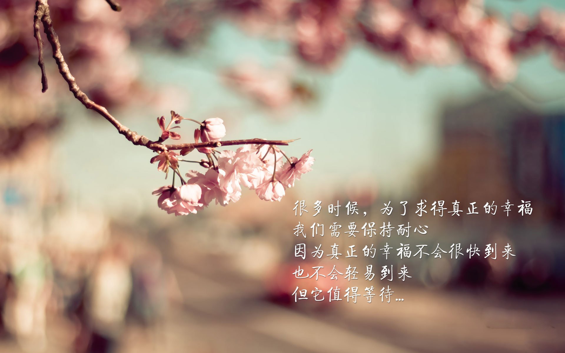 -利物浦在欧冠赛场奋勇争先，目标更高