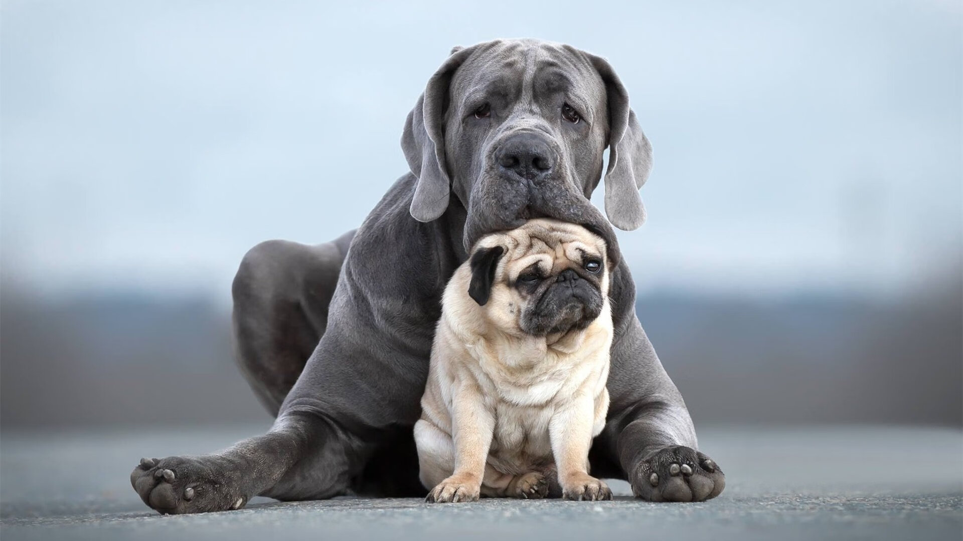 华体会在线-女子篮球加强传球视野训练提升组织效率，女生行进传球技巧