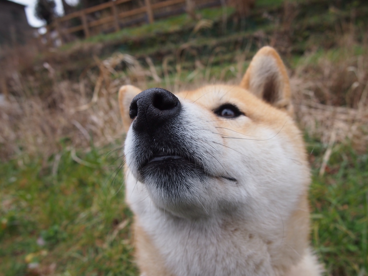 华体会官网-美洲杯热血沸腾：明星拼搏，精彩不断！，美洲杯现场观众
