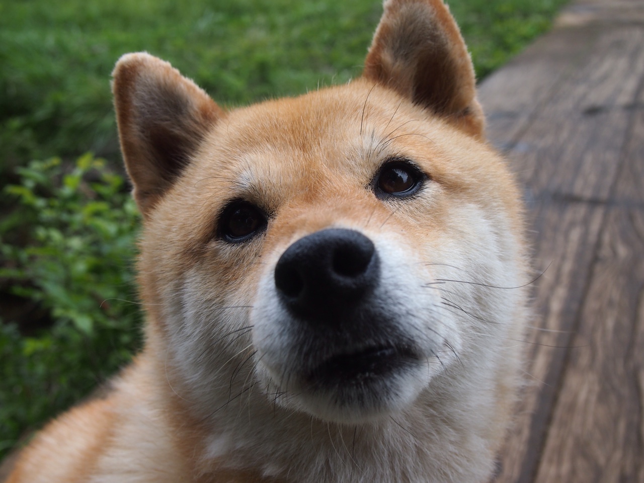 -Miller 激励队友，提升团队士气，激励团队士气的句子经典简短