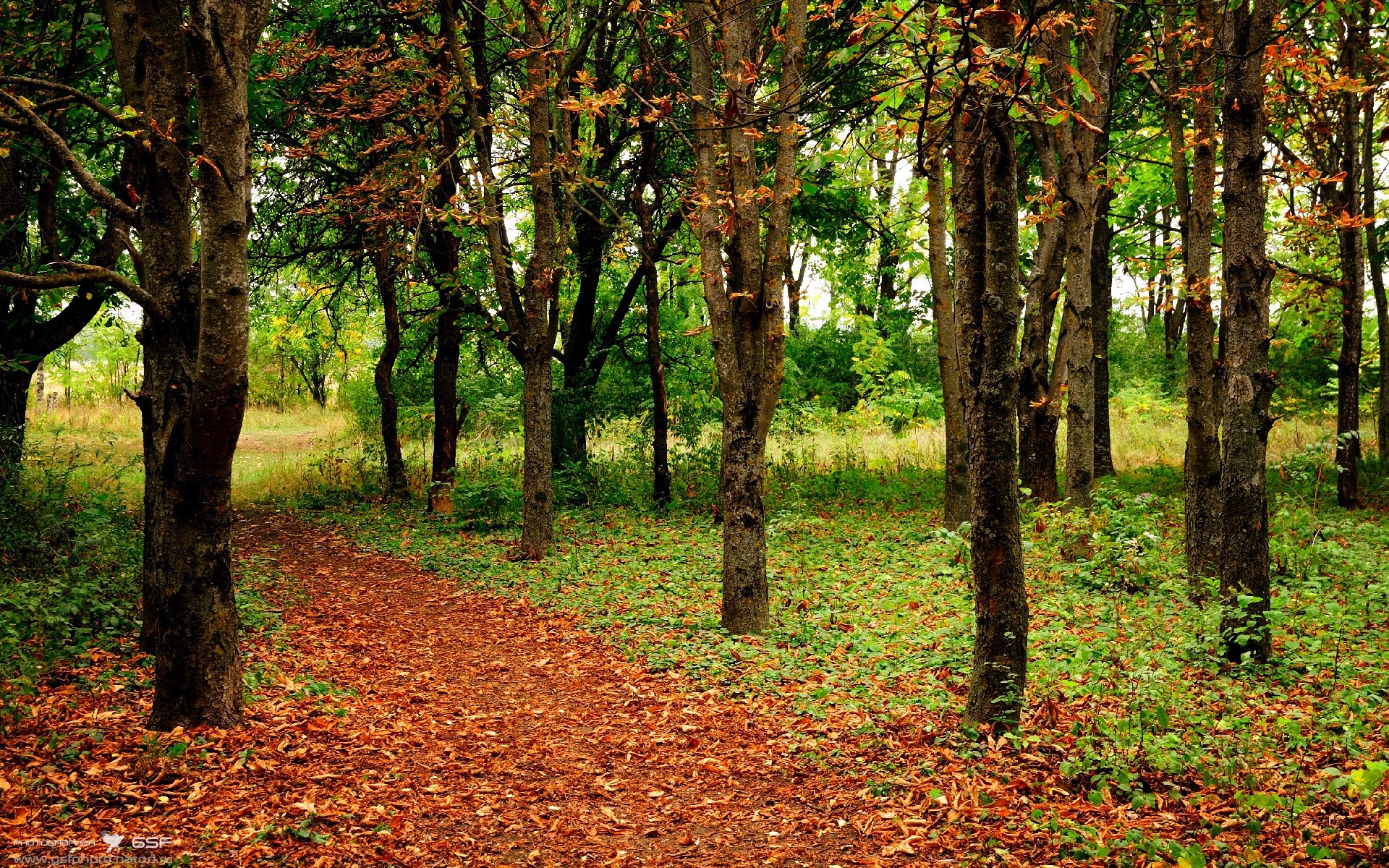 华体会app-中国篮球裁判系统数字化改革的政策建议，篮球裁判员管理平台