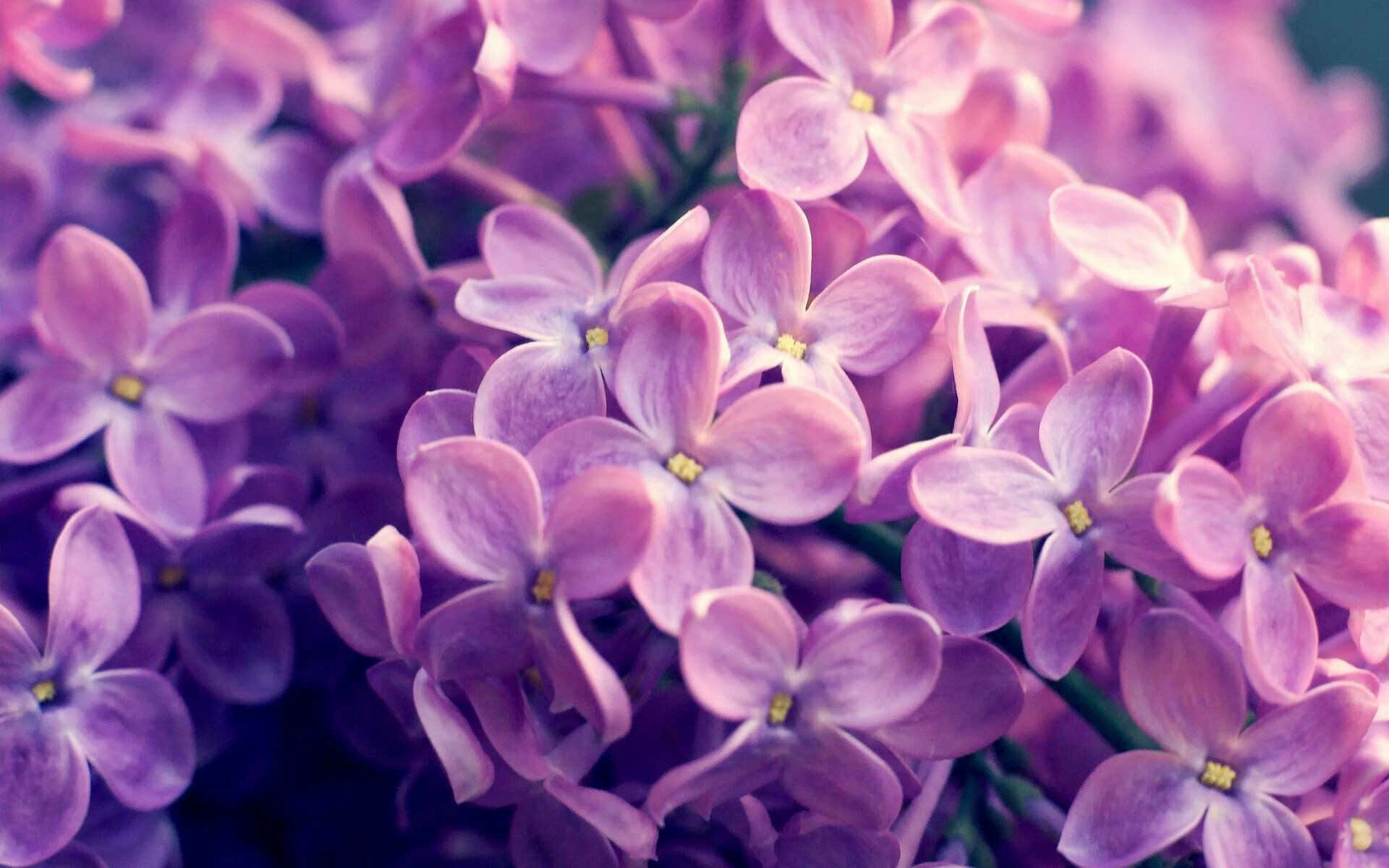 华体会app下载-中国足球女足队医系统建设与伤后康复速度比较，女足十大严重受伤