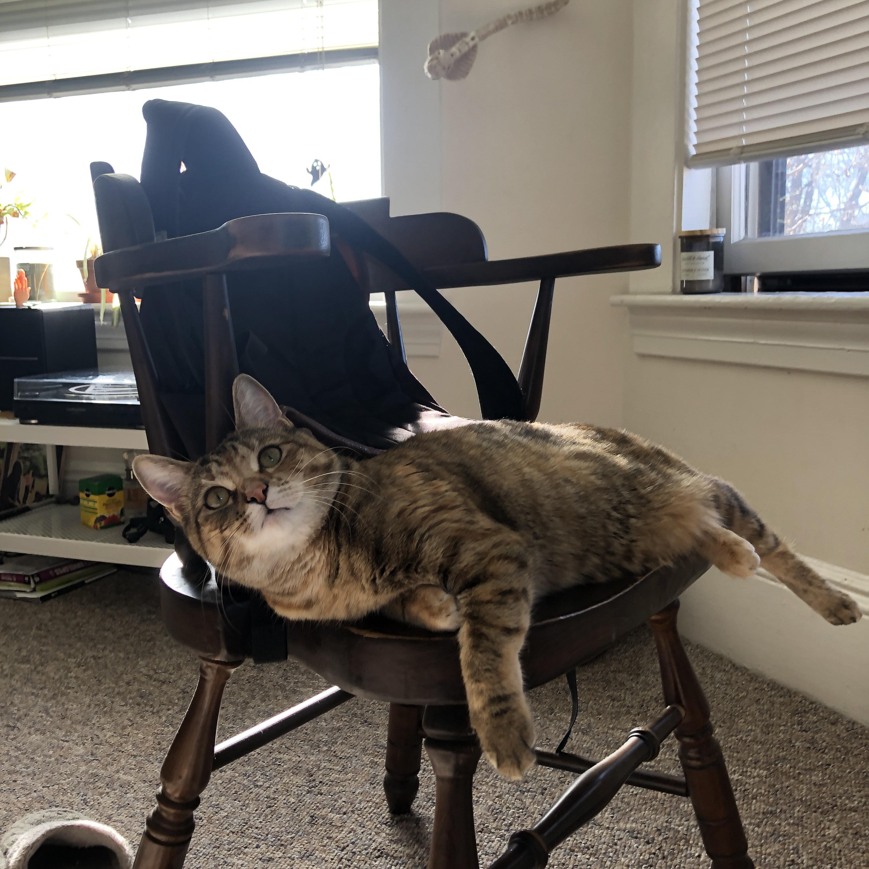 -中国足球赛事品牌包装与球迷参与感提升路径，中国的足球品牌